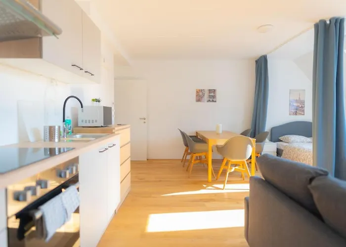Luxury Penthouse 2-floors With Private Terrace Near Prater And Center.